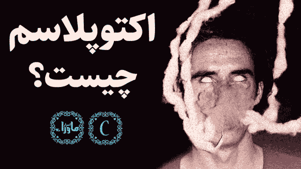 اکتوپلاسم
