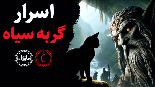 گربه سیاه