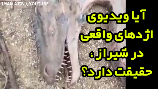 اژدها