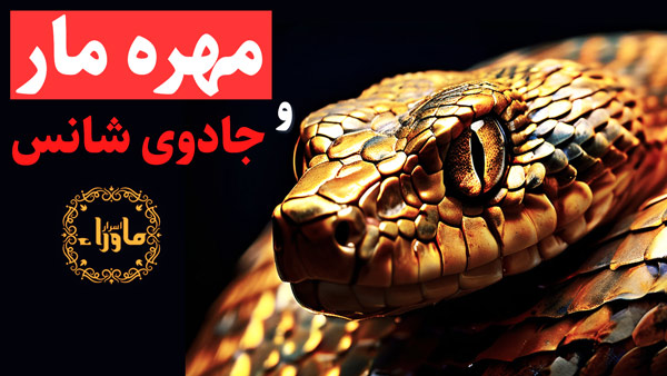 مهره مار