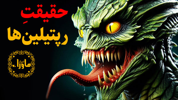 رپتایل