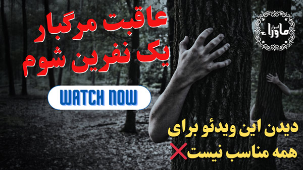 وینچستر