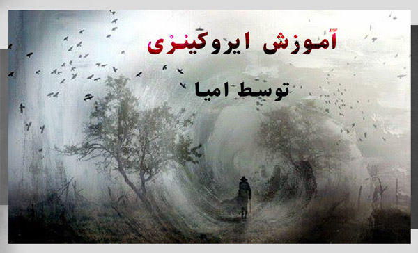 ایروکینزی