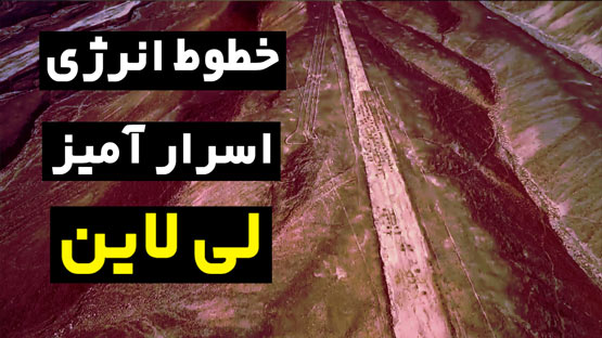 لی لاین
