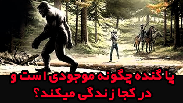 پاگنده