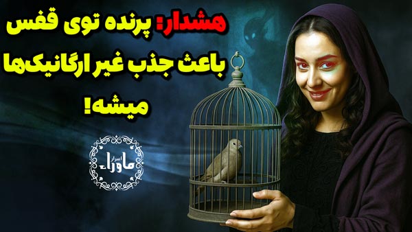 پرنده