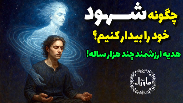 شهود
