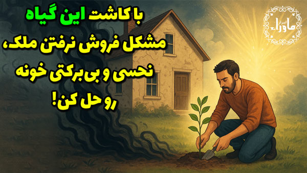 ملک
