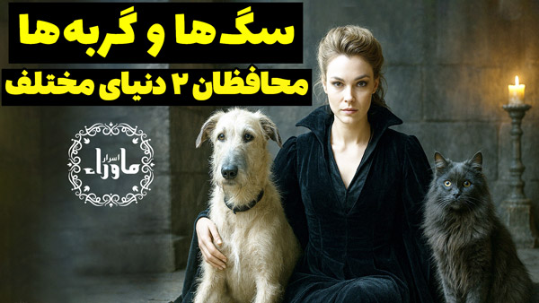 سگ ها