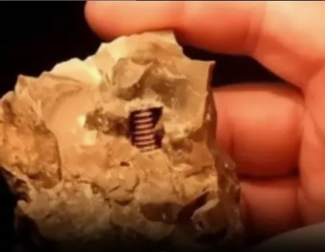 یک پیچ با قدمت 300 میلیون سال