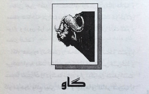 متولدین سال گاو