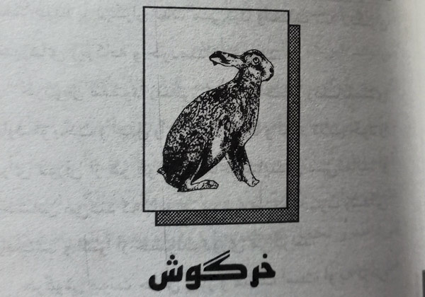 متولدین سال خرگوش